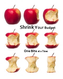 How to Shrink Your Budget