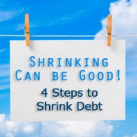 Four Steps to Successful Debt Shrinkage