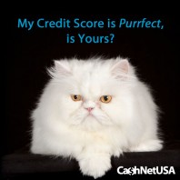 How Your Total Debt Affects Your Credit Score
