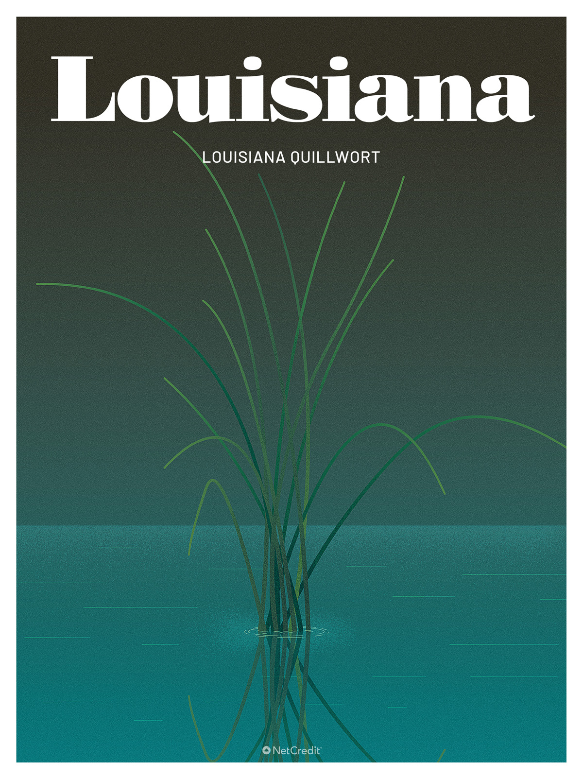 Endangered Plant in Louisiana: Louisiana Quillwort