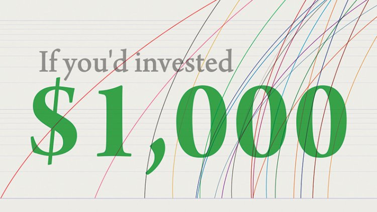 Stock Projections if you invested $1000