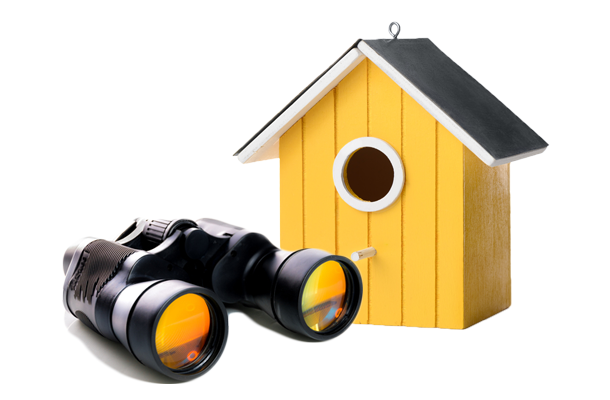 Birdhouse & Binoculars