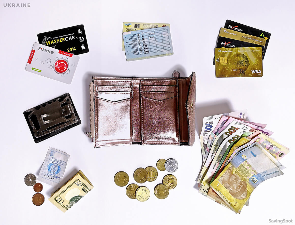 Whats in Your Wallet CONTENTS Participant Anastasiya