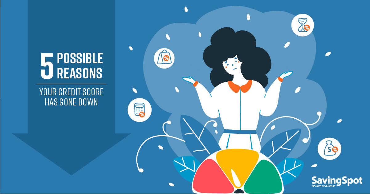 Why Did My Credit Score Go Down? Blog