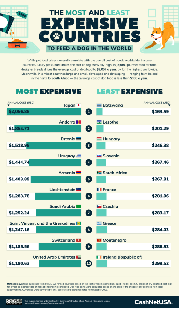 The Cost of Feeding Your Dog in Every Country Blog