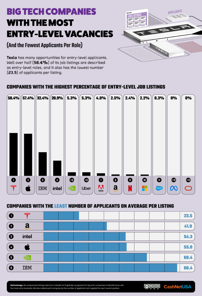 An infographic of big tech companies with the most entry-level vacancies.